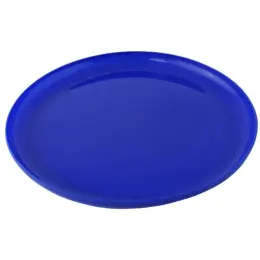 Fun Frisbee Blue 3